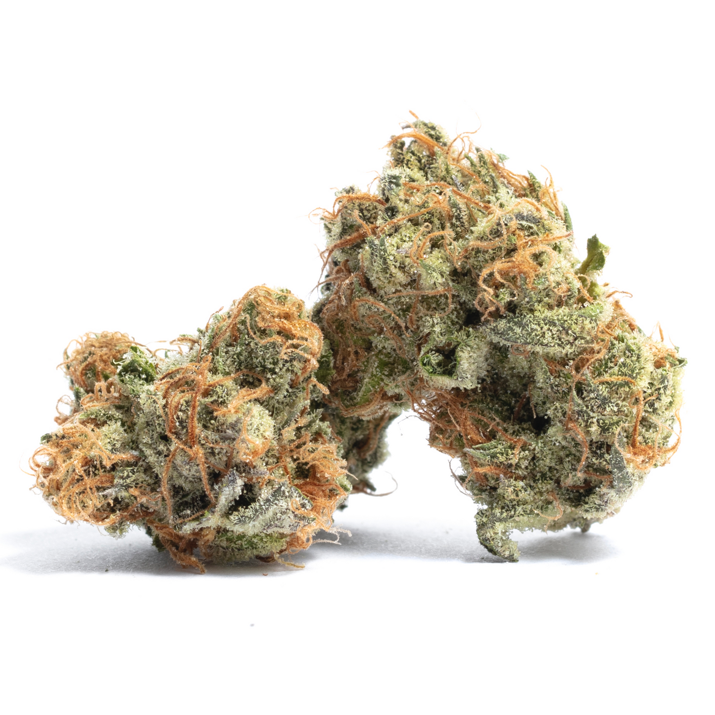 1/8 Ounce(3.5g) Governmint Oasis Indica Cannabis flower